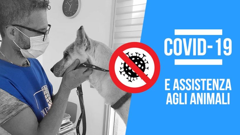 Nuove misure anti-Covid <br> e animali d’affezione: <br> c’è il vademecum dell’Oipa