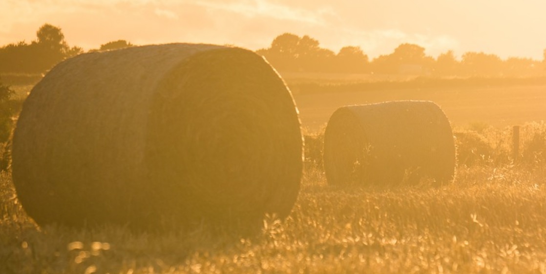 Copagri Marche: «Discutiamo <br>di biodiversità agronomica <br>e di etichettatura della pasta»