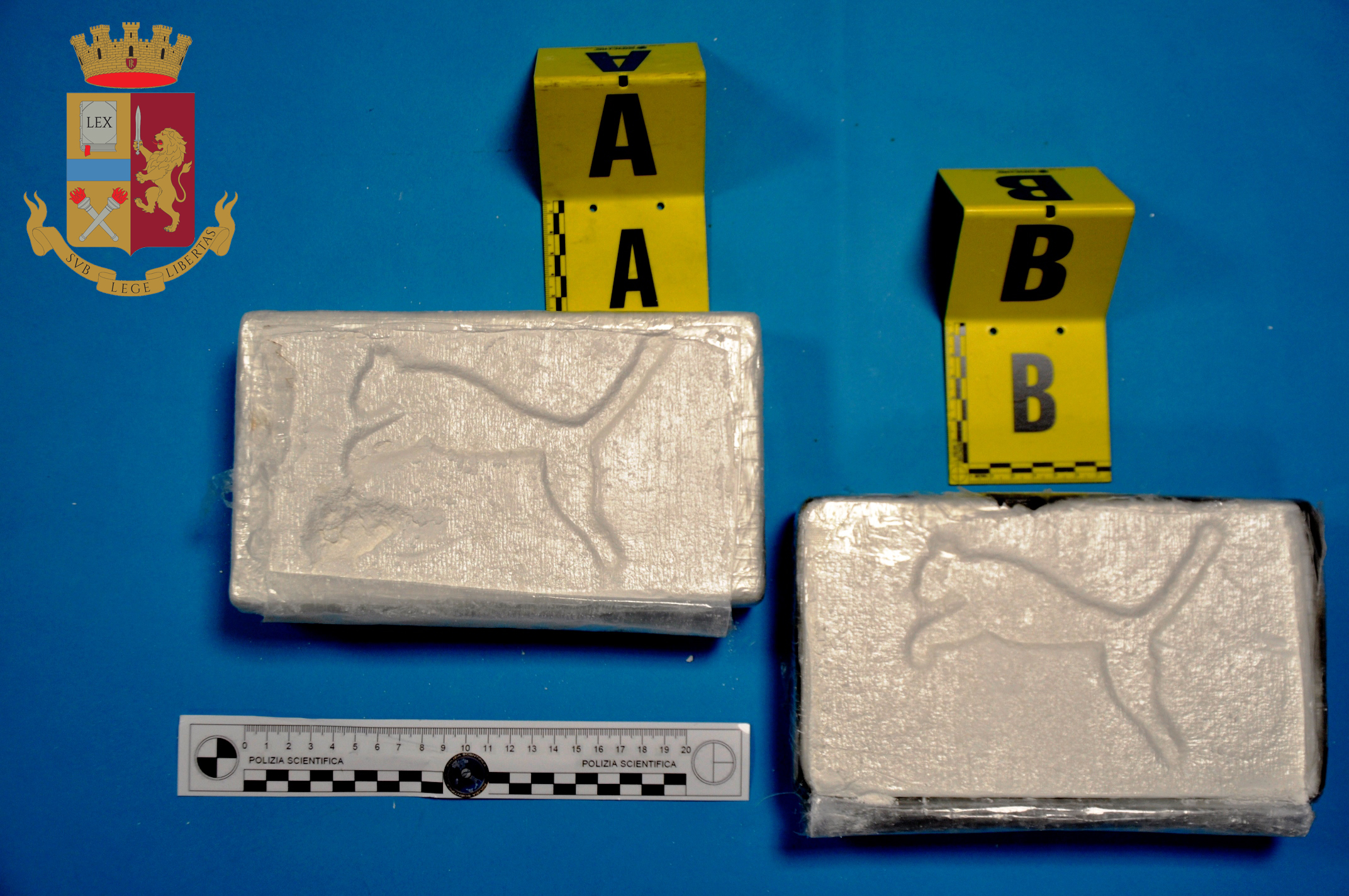 Sequestrati 2 kg di cocaina: la Polizia ingabbia il “puma” del narcotraffico dalla Colombia: un arresto