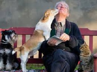 Cani e gatti, una medicina naturale: <br> tanti benefici per gli anziani