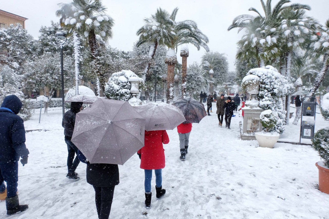 Vento artico in arrivo, <br> neve anche sulla costa