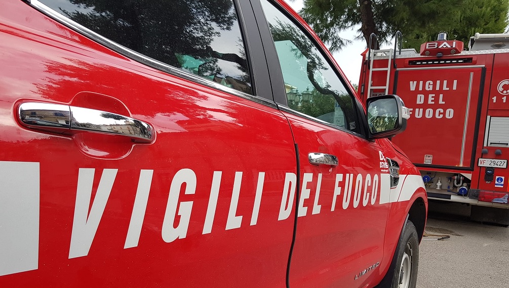 Fiamme lambiscono un bosco: <br> intervento provvidenziale <br> dei Vigili del fuoco