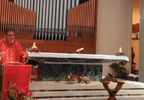 Il ramoscello d’ulivo fa arrabbiare don Tony: <br> «Ti mando un mal di pancia, devi stare sul water» <br> <span> (Il video)</span>