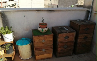 Dai rifiuti al compost: <br> c’è un corso online