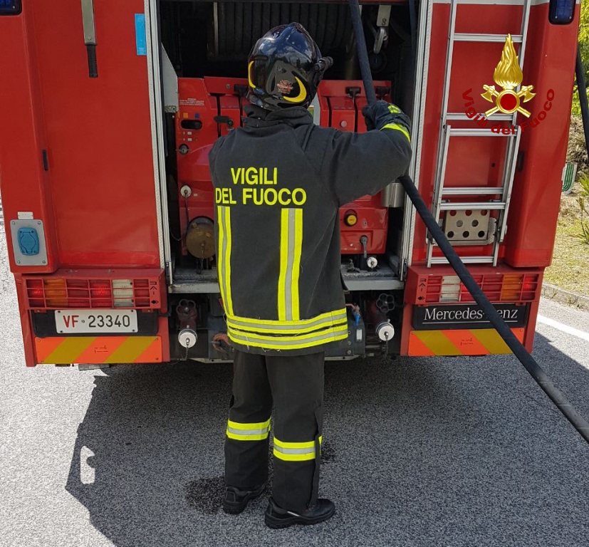 Cane scivola in un canale <br> di scolo dell’acqua: <br> salvato dai vigili del fuoco