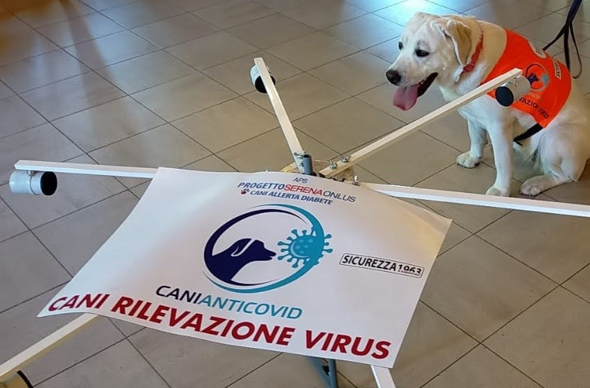 Arrivano i cani anti-Covid: <br> il progetto made in Marche <br> passa alla fase operativa