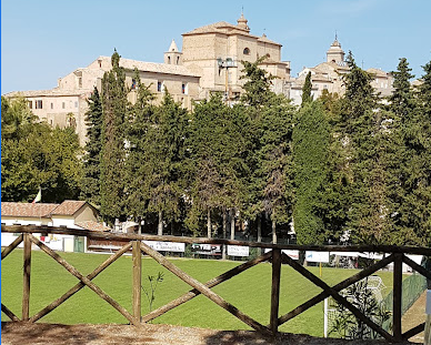 “Flora Football & Sport”: <br> calcio e cultura dello sport