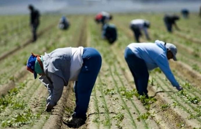 Braccianti sfruttati: in sette nei guai per caporalato