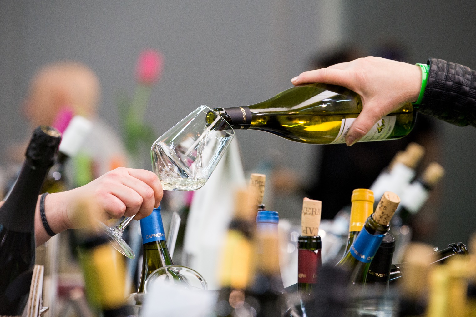 “Di Vino in Tavola”, parte <br> il circuito dei vini e dei sapori <br> promosso dalla Regione: <br> ecco il programma