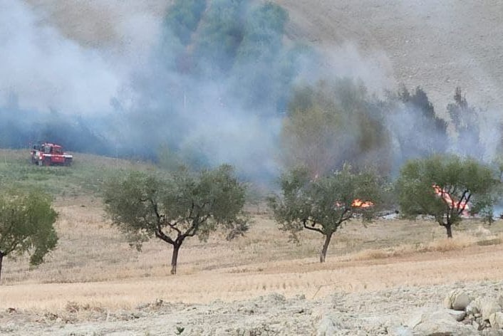 Fiamme in un campo agricolo <br> ad Appignano: i Vigili del fuoco <br> salvano un frutteto dal rogo Fiamme in un campo agricolo <br> ad Appignano: i Vigili del fuoco <br> salvano un frutteto dal rogo