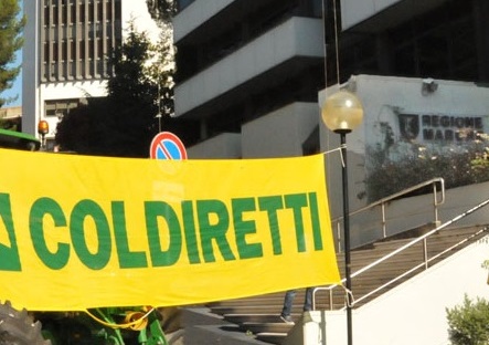 Obesity day, allarme Coldiretti: <br> «In sovrappeso il 46% <br> dei marchigiani, il 10% è obeso»