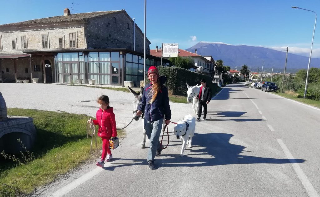 Da 5 anni in viaggio <br> con due asinelli, <br> Helena e Carlo <br> arrivano nel Piceno <br> Storie di vita lontano dalla frenesia <br> <span> (Foto e video) </span>