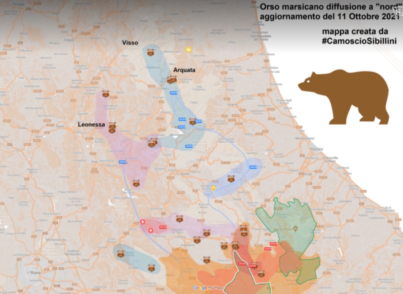 Orso marsicano, la mappa: <br> «Avvistamenti in aumento <br> lungo tutto l’Appennino centrale» Orso marsicano, la mappa: <br> «Avvistamenti in aumento <br> lungo tutto l’Appennino centrale»