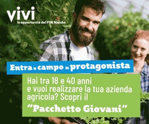 Sogni di aprire <br> un’azienda agricola? <br> Con Pacchetto Giovani <br>entra in campo da protagonista