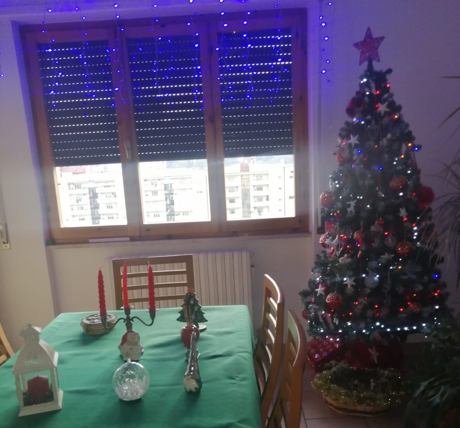Il Natale della ripartenza: <br> l’albero di Maurizio, <br> Mirella e Gianluigi
