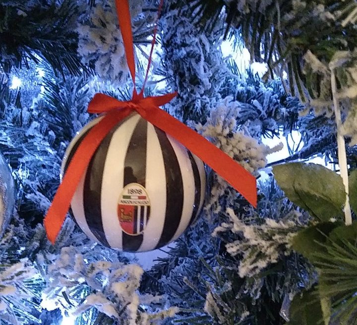 L’albero “bianconero” <br> di Lorenzo, Davide e Diego