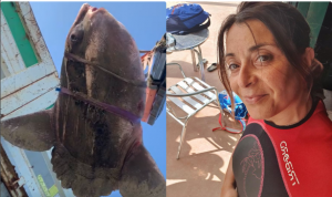 Pesce luna spiaggiato <br> a San Benedetto: <br> la carcassa portata <br> in discarica (Foto e video)
