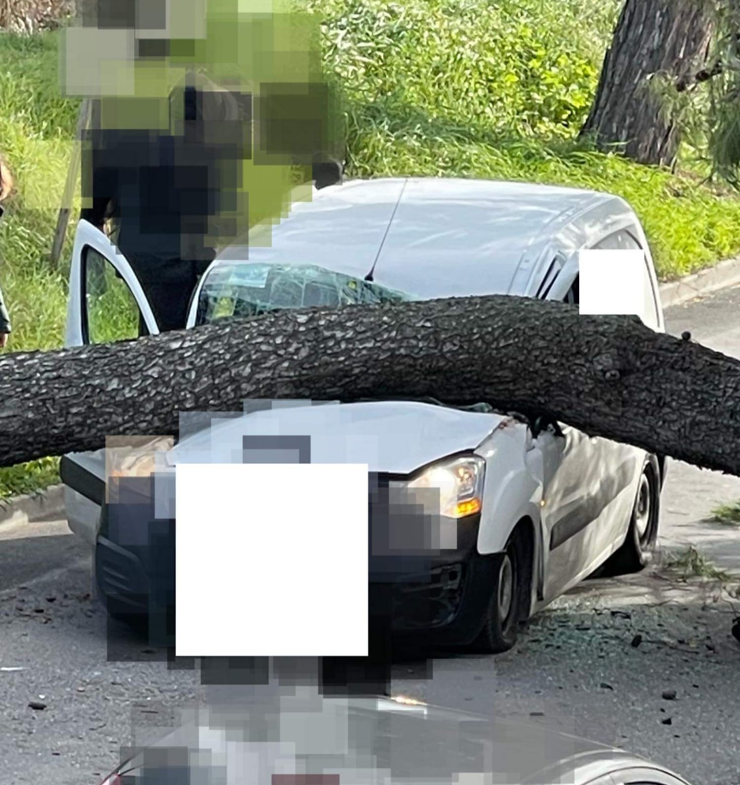 Un pino cade e centra un furgone: 55enne grave