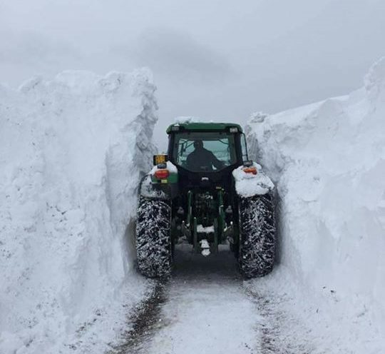 18 gennaio, il giorno <br> della “sinergia diabolica” <br> Sisma e neve nel ricordo più brutto <br> Paola e Marco, un amore spezzato