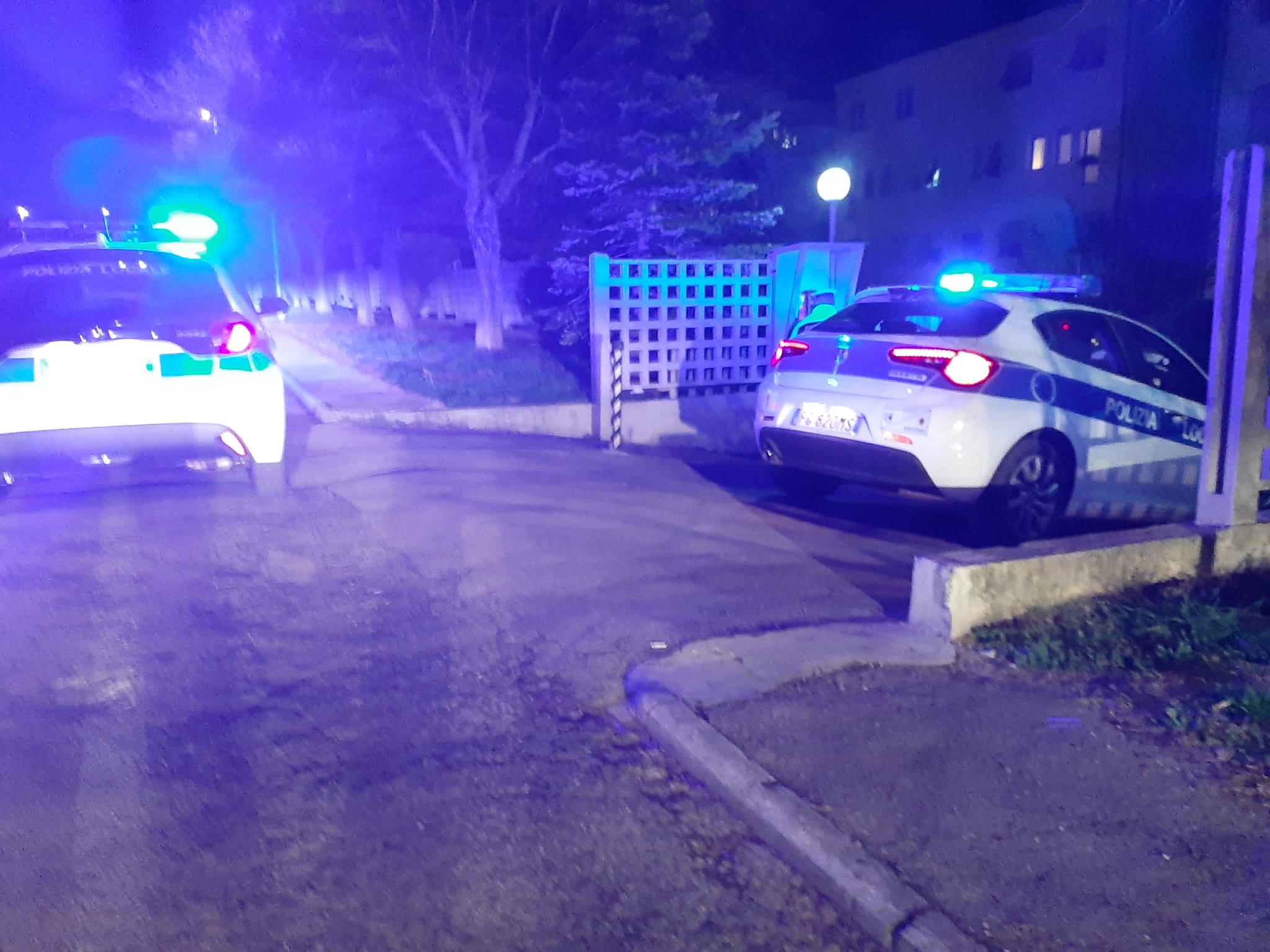 Wurstel con viti per i cani: <br> denunciato un anziano