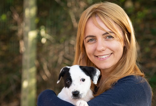 Cani randagi da Appignano a Macerata: «Questo canile non è un lager, venite a conoscerci»