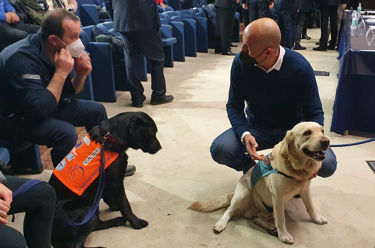 Più precisi dei test antigenici rapidi <br> Ecco i cani che fiutano il Covid <br> Dalle Marche il primo studio in Italia
