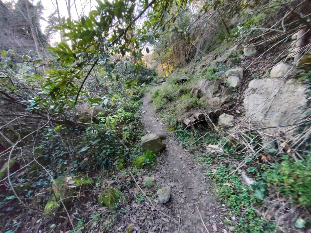 Ciclopedonale sul Castellano: benvenuti nella natura selvaggia, soldi buttati a mare… anzi a fiume <span> (Foto e video)