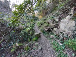 Ciclopedonale sul Castellano: benvenuti nella natura selvaggia, soldi buttati a mare… anzi a fiume <span>  (Foto e video)