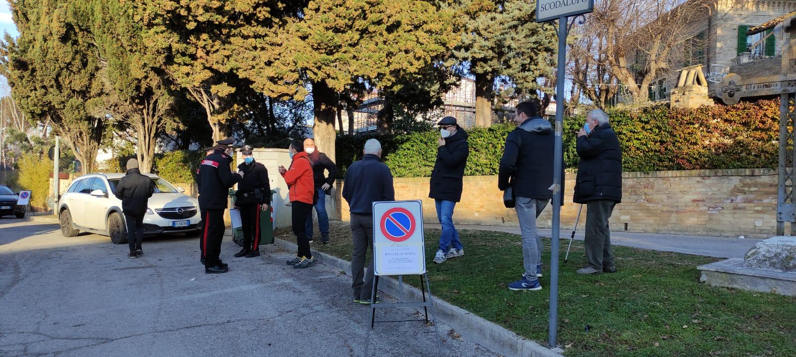 Stop alla “strage dei tigli”: la decima pianta è salva Stop alla “strage dei tigli”: la decima pianta è salva
