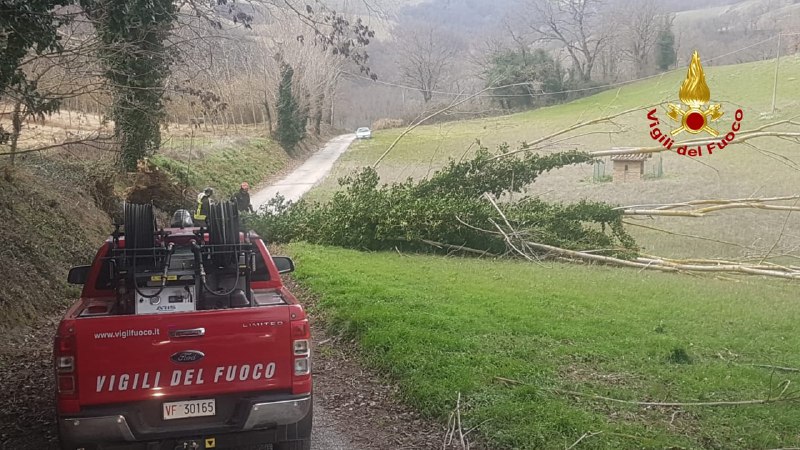 Vento forte sul Piceno: <br> tanti gli interventi <br> dei Vigili del fuoco