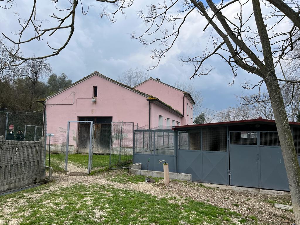 Ricorso al Tar sul canile di Macerata: bocciata la richiesta di sospensione Ricorso al Tar sul canile di Macerata: bocciata la richiesta di sospensione