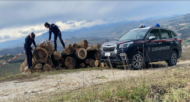 Taglio illegale di un bosco: tre persone denunciate e sequestro di area e legname