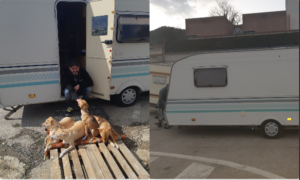Roberto Renga, insieme alla “casetta” nuova trova tanti amici in più <span> (Video) </span> Roberto Renga, insieme alla “casetta” nuova trova tanti amici in più <span> (Video) </span>