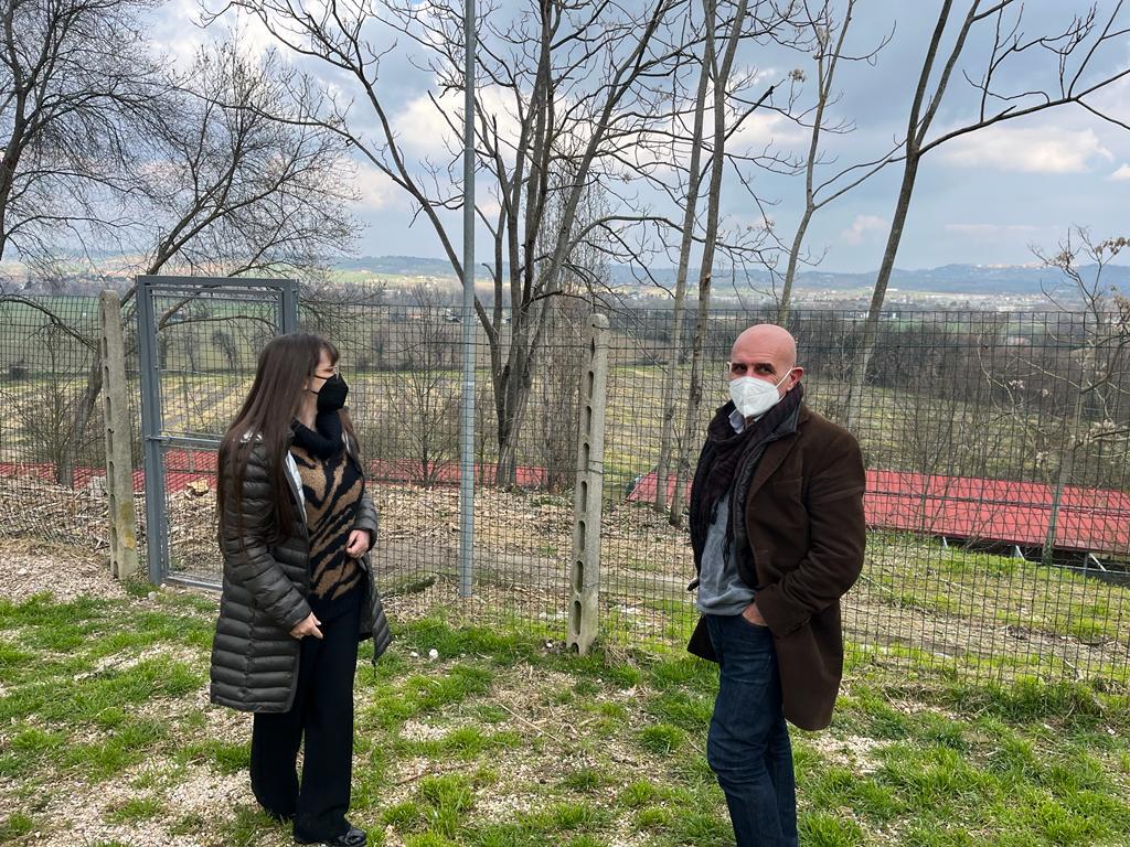 Canile, la verità della “Meridiana”: «Danneggiati per aver vinto un bando, così impossibile stabilizzare i dipendenti» Canile, la verità della “Meridiana”: «Danneggiati per aver vinto un bando, così impossibile stabilizzare i dipendenti»