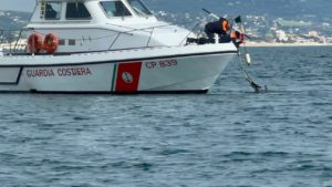 Salvato cucciolo di delfino: era intrappolato in una rete di nylon <span> (Foto e video) Salvato cucciolo di delfino: era intrappolato in una rete di nylon <span> (Foto e video)