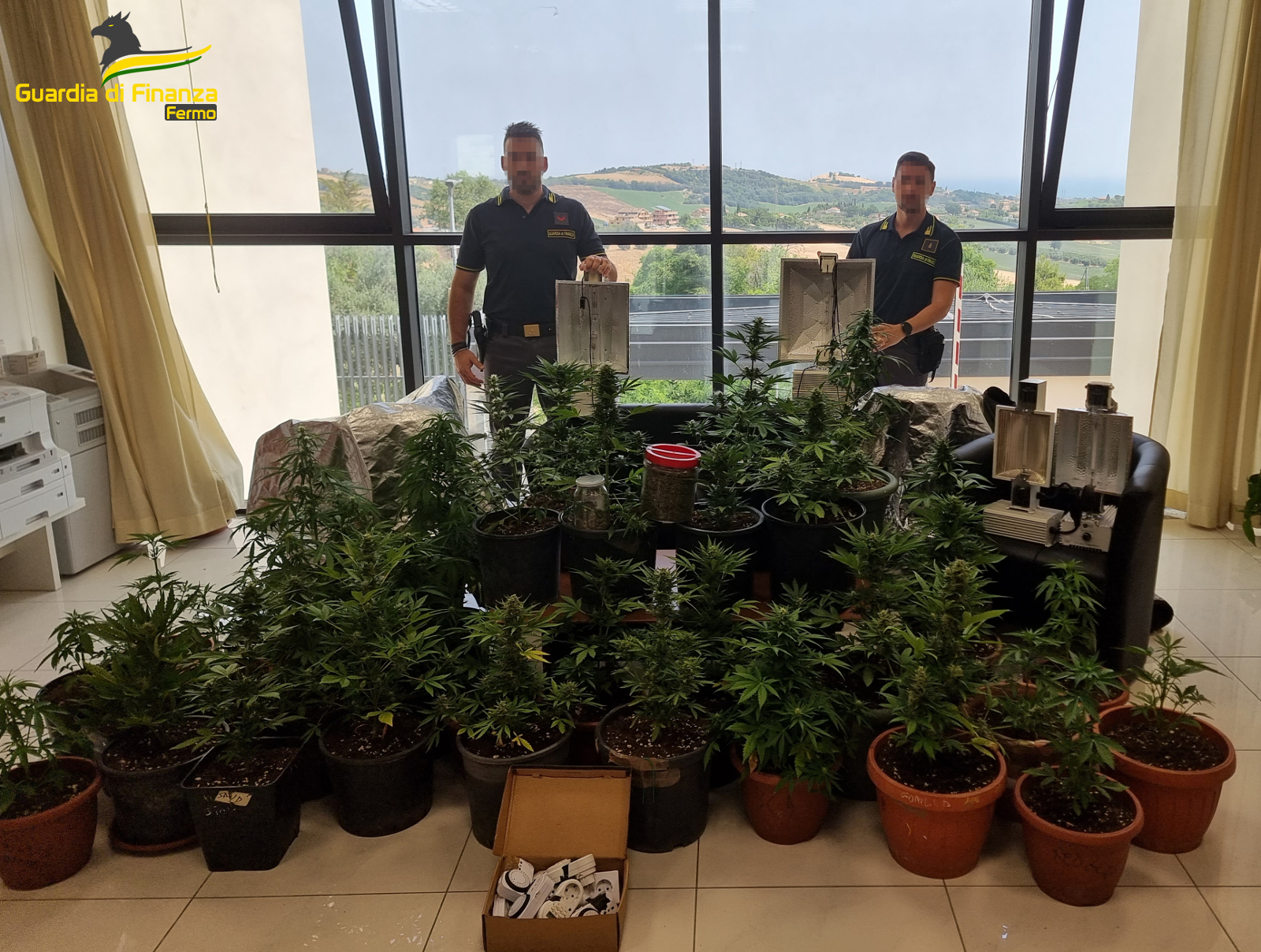 Consumo eccessivo di corrente elettrica: la Finanza scova 36 piante e un laboratorio di marijuana, arrestato un 50enne