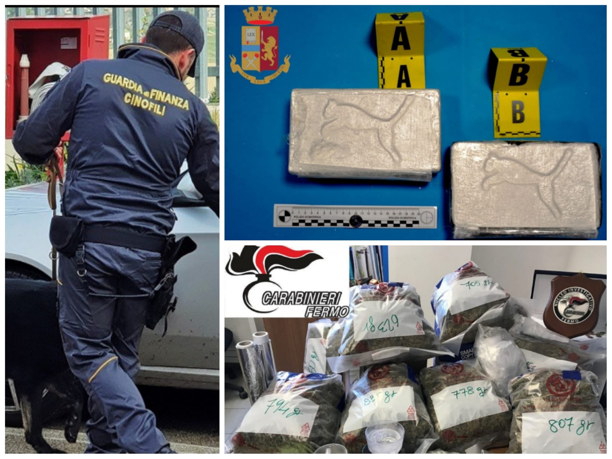 Lotta alla droga, nelle Marche messe a segno 452 operazioni: triplicati i sequestri di marijuana