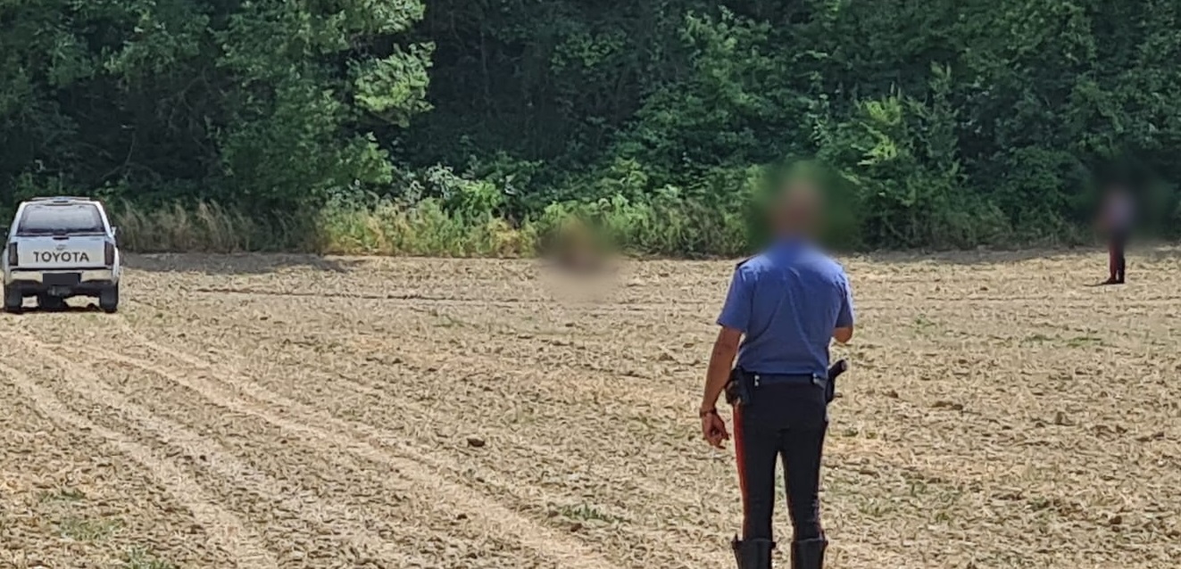 Macabra scoperta: trovato il cadavere di un uomo in un campo, indagano i carabinieri