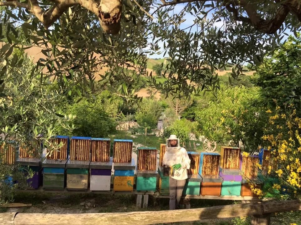 I mieli dell’azienda agricola “Il Riccio” premiati al concorso “Tre Gocce d’Oro”