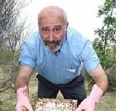 Malore fatale per Emidio Ferretti, l’allevatore delle formiche: fuori strada con l’auto e muore Malore fatale per Emidio Ferretti, l’allevatore delle formiche: fuori strada con l’auto e muore