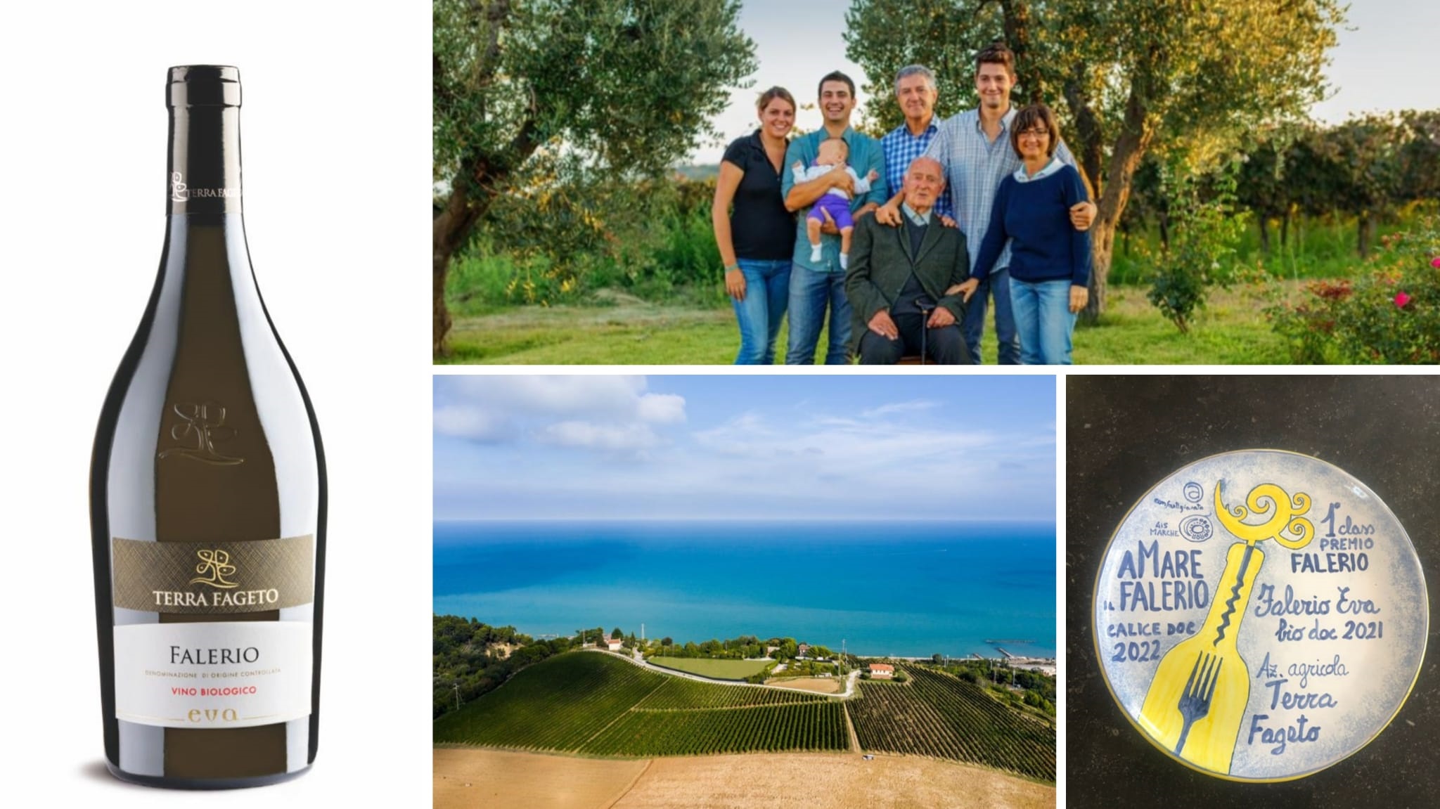 Eva, il vino doc di Terra Fageto trionfa al concorso “aMare il Falerio”