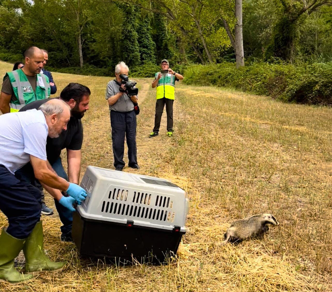 «Recuperati 11.000 animali tra mammiferi, uccelli e rettili»