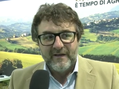 Vendemmia 2022: eccellente annata, nonostante i rincari