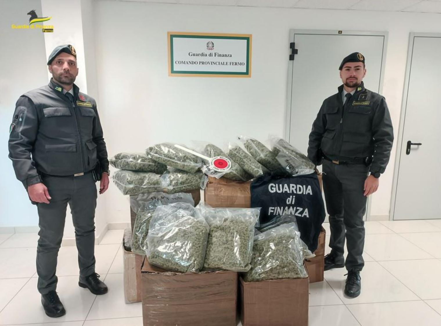 Altri 83 chili di marijuana intercettati nel Fermano dalla Finanza: in due mesi sequestrati 192 chili