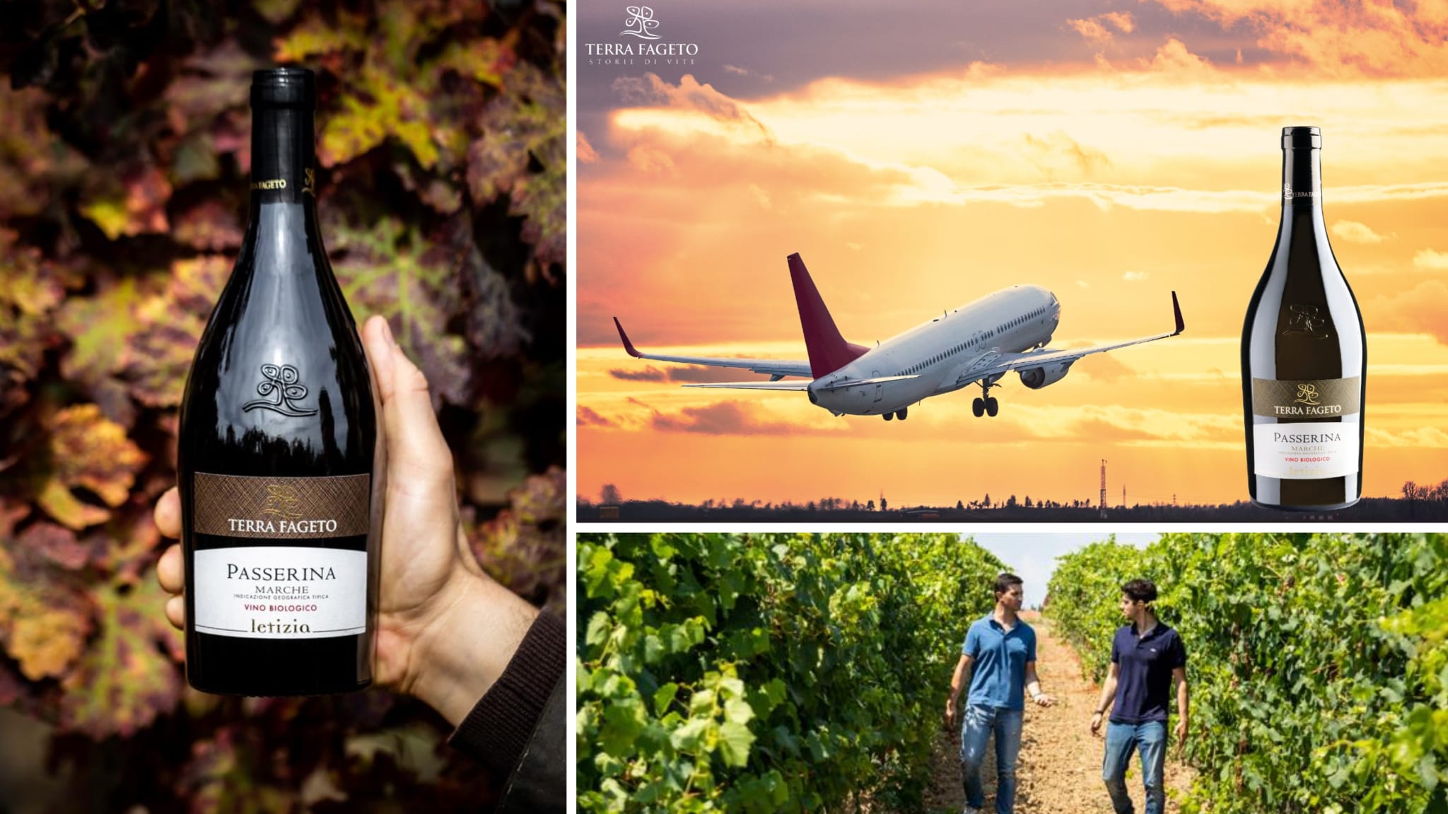 La “Passerina” di Terra Fageto nella carta vini business class della maggiore compagnia aerea canadese