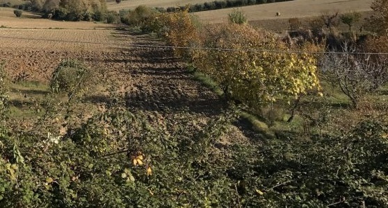 Nuovo gasdotto sulla Valdaso: cresce la preoccupazione tra gli agricoltori, convocata un’assemblea