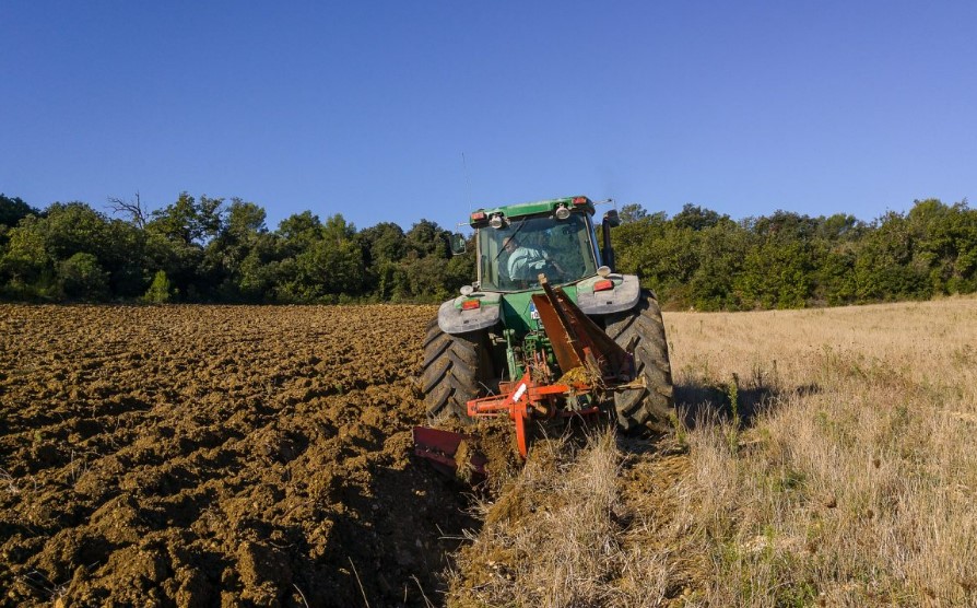 Universitari tra i campi, Coldiretti: «Marche tra le prime regioni con laureati alla guida di imprese agricole»