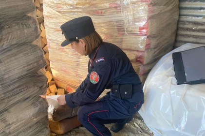 Biocombustibile non a norma, sequestro dei Carabinieri Forestali in due negozi