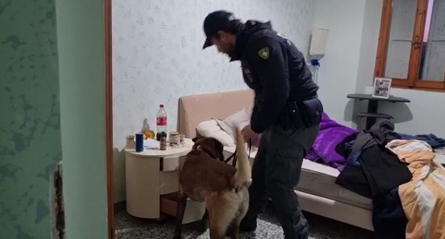 Ingresso illecito di clandestini: tra i presunti associati anche due vigili, nei guai una ex dipendente comunale (Video)