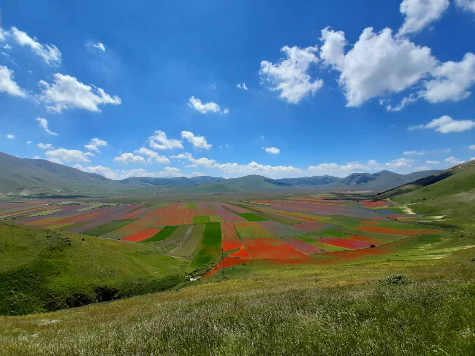 Fioritura di Castelluccio, niente auto di domenica: «Consentite solo le navette»